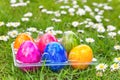 Colorful painted easter eggs in grass with daisies