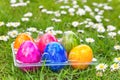 Colorful painted easter eggs in grass with daisies Royalty Free Stock Photo