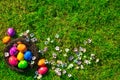 Colorful painted Easter eggs in nest on fresh green grass top view, Happy Easter Holliday concept background with copy Royalty Free Stock Photo