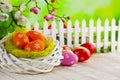 Colorful painted Easter eggs, nest and white fence on wooden table and nature background Royalty Free Stock Photo