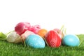 Colorful painted Easter eggs and spring flowers on green grass Royalty Free Stock Photo