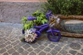 Colorful painted little bicycle decorated with flowers Royalty Free Stock Photo