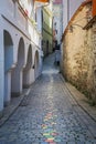 Colorful Painted Stone Path in HÃ¶llgasse Artists Alley in Passau, Germany Royalty Free Stock Photo