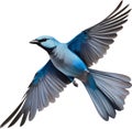 A Colorful painting of Blue-gray Tanager bird. AI-generated.