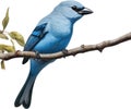 A Colorful painting of Blue-gray Tanager bird. AI-generated.