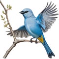 A Colorful painting of Blue-gray Tanager bird. AI-generated.