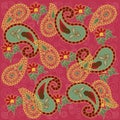 Colorful Paisley in Pink