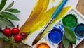 Colorful palette watercolor paints arranged on a table Royalty Free Stock Photo