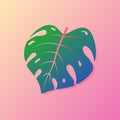 Colorful palm leaf illustrator. Color concept. Gradient leaf