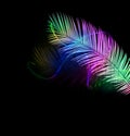 Colorful palm leaf with neon lights isolated on black.