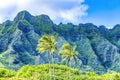 Colorful Palm Trees Green Mountain Kualoa Regional Park North Shore Oahu Hawaii Royalty Free Stock Photo