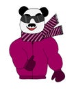 Colorful panda is sun glasses in a winter jacket and scarf Royalty Free Stock Photo