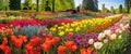 colorful panorama of of various flower heads.