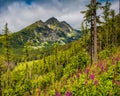 Colorful panoramic view. The Tatras. Slovakia.