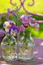 Colorful pansies in small bottles