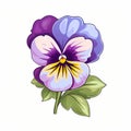 Colorful Pansy Flower Illustration In Classic Tattoo Style Royalty Free Stock Photo