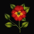 Colorful pansy flower plant embroidery in black background