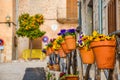 Colorful pansy flowers in flower pots as a street decoration in Spanish Valldemossa, Mallorca. Selective focus, blurred background Royalty Free Stock Photo