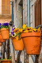 Colorful pansy flowers in flower pots as a street decoration in Spanish Valldemossa, Mallorca. Selective focus, blurred background Royalty Free Stock Photo