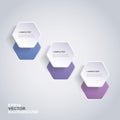 Colorful Paper Cut Infographics Design - Rounded Hexagons Royalty Free Stock Photo