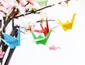 Colorful paper origami birds on flowering branches of cherry Royalty Free Stock Photo