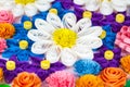 Colorful paper quilling flowers