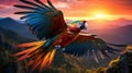 Colorful Parrot in the Golden Sunset