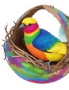 Colorful parrot in nest isolated on white background with clipping path Royalty Free Stock Photo