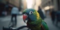 Colorful Parrot Perched on Bicycle Handlebar in Busy City