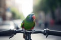 Colorful Parrot Perched on Bicycle Handlebar in Busy City