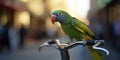 Colorful Parrot Perched on Bicycle Handlebar in Busy City