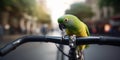 Colorful Parrot Perched on Bicycle Handlebar in Busy City