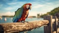 Colorful Parrot Perched On Old Pier Royalty Free Stock Photo