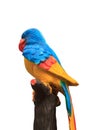 Colorful parrot statue in public park Royalty Free Stock Photo