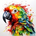 Colorful Parrot Watercolor Painting Print By Slaveika Aladjova