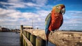 Colorful Parrot On Wooden Deck: A Captivating Photo