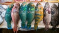 Colorful parrotfish are sold in a popular marketplace with traditional food