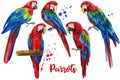 Colorful parrots, red macaw, set tropical birds, isolated white background, watercolor illustration. jungle design