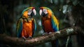 Colorful parrots sitting on branch in the jungle. Generative AI Royalty Free Stock Photo