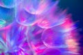 Colorful Pastel Background - vivid abstract dandelion flower Royalty Free Stock Photo