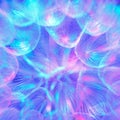 Colorful Pastel Background - vivid abstract dandelion flower Royalty Free Stock Photo