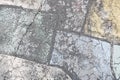 Colorful pastel cracks in painted pavement