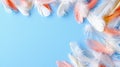 Colorful pastel feather background with soft texture for Easter decor Royalty Free Stock Photo