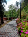 Colorful path with views of nature, on th+e Santa Lucia hill, Santiago de Chile