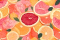 Colorful pattern of grapefruit slices Royalty Free Stock Photo