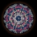 Colorful pattern in style of Gothic stained glass window with round frame. Abstract floral ornament Royalty Free Stock Photo