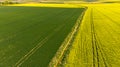 Colorful patterns in crop fields at farmland, aerial view, drone photo