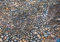 patterns on the floor for a healthy walk. Royalty Free Stock Photo