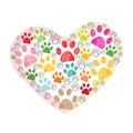 Colorful paw print made of hearts vector illustration