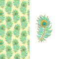 Colorful peacock feathers. Seamless vector pattern. Royalty Free Stock Photo